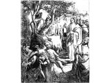 Zaccheus called by Christ